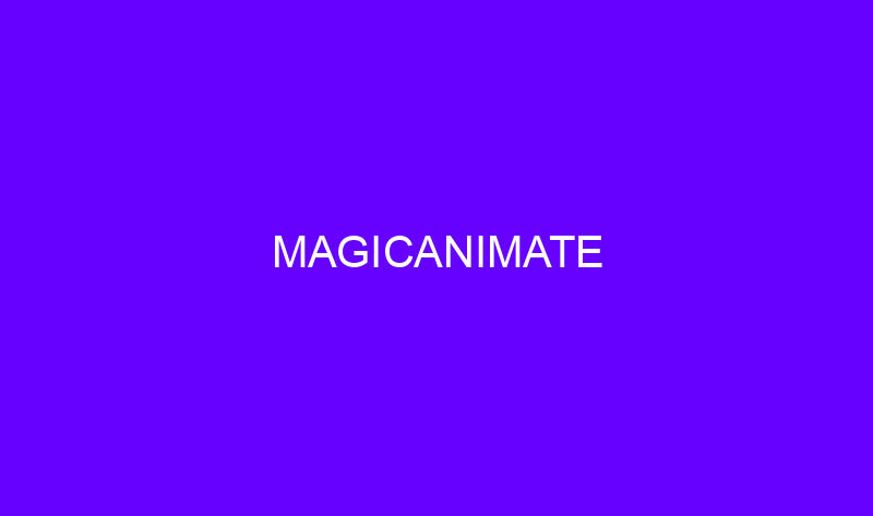 magicanimate 20482 800x473 - MagicAnimate